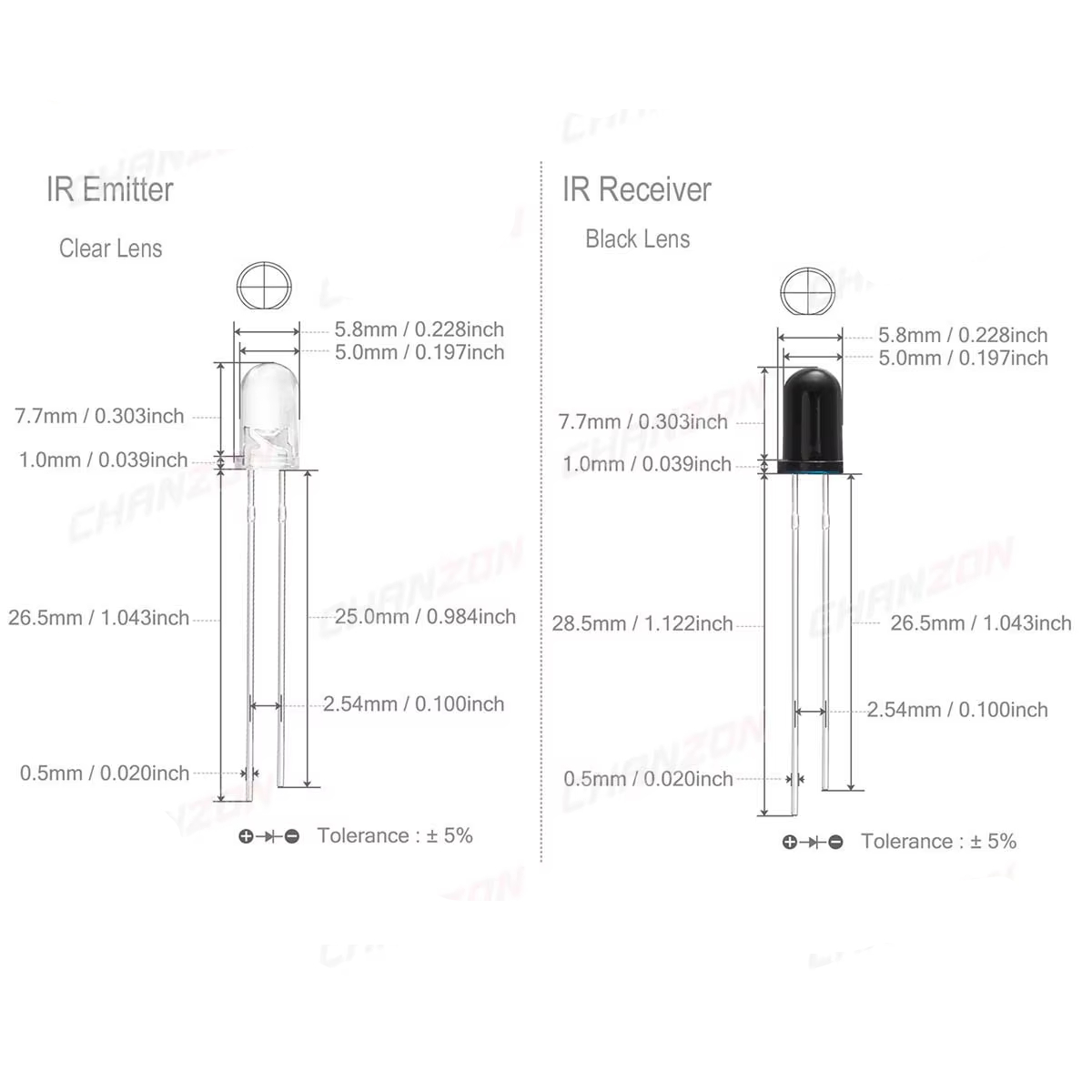 0-8f8c59.jpeg 0-8f8c59.jpeg