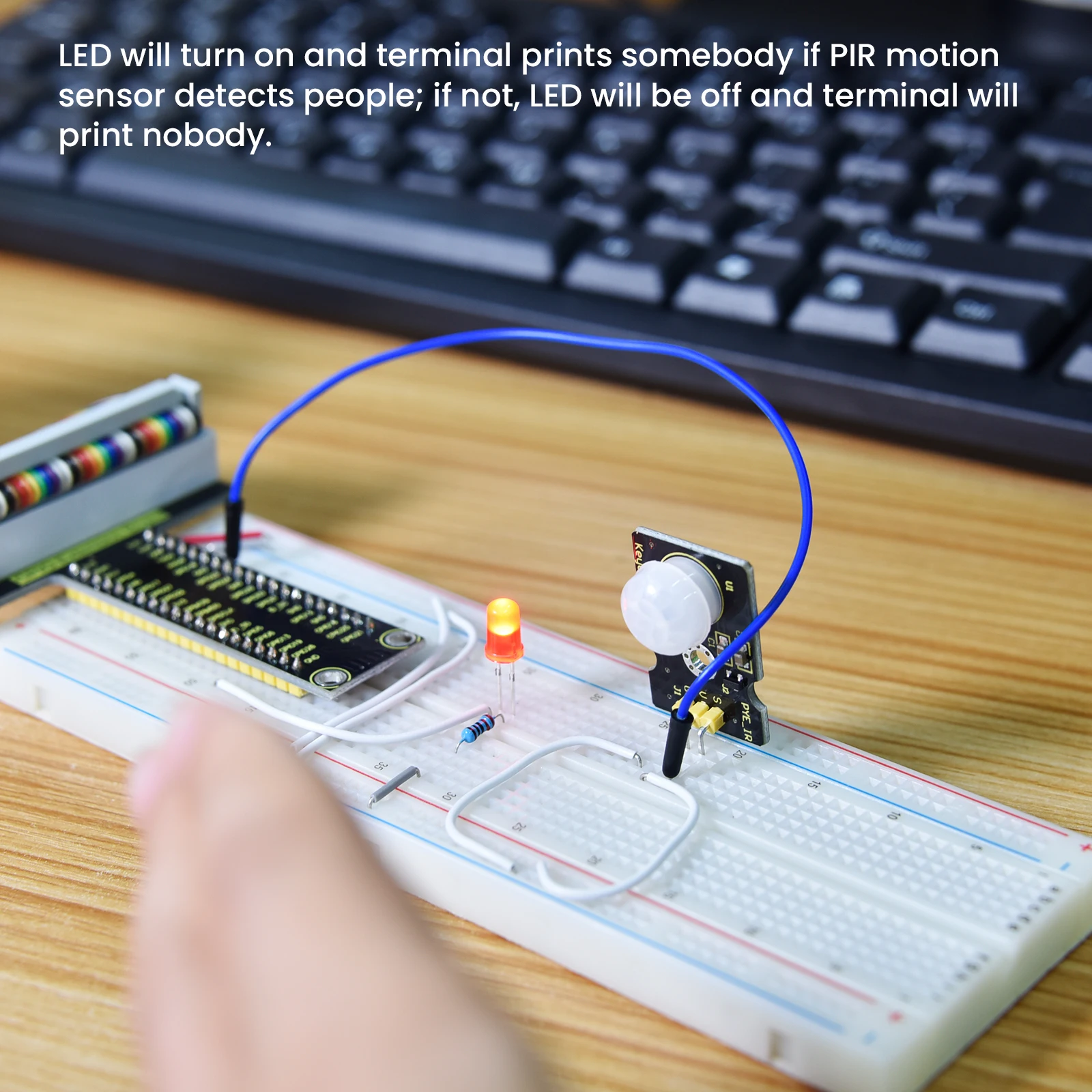 Keyestduio Complete RFID Starter Kit For Raspberry Pi 4B/3B+40Projects /Linux&Python &C Language Programming(NO RPI 4B Board)